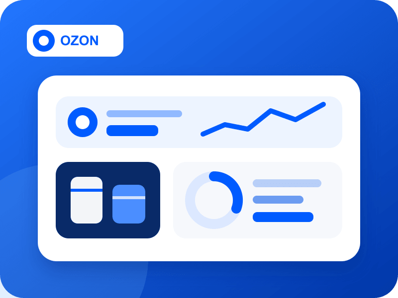 Ozon 财务报表与利润计算