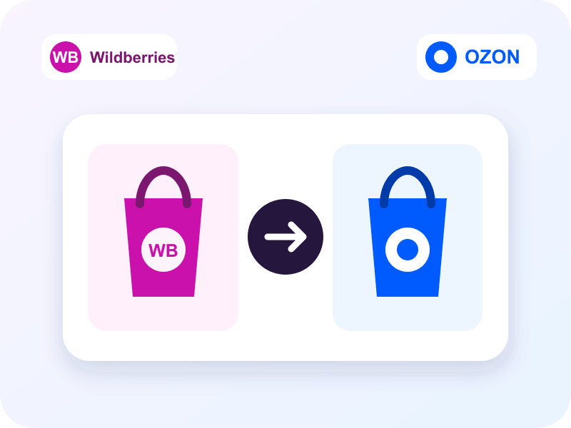 Wildberries 与 Ozon 俄罗斯电商入门指南